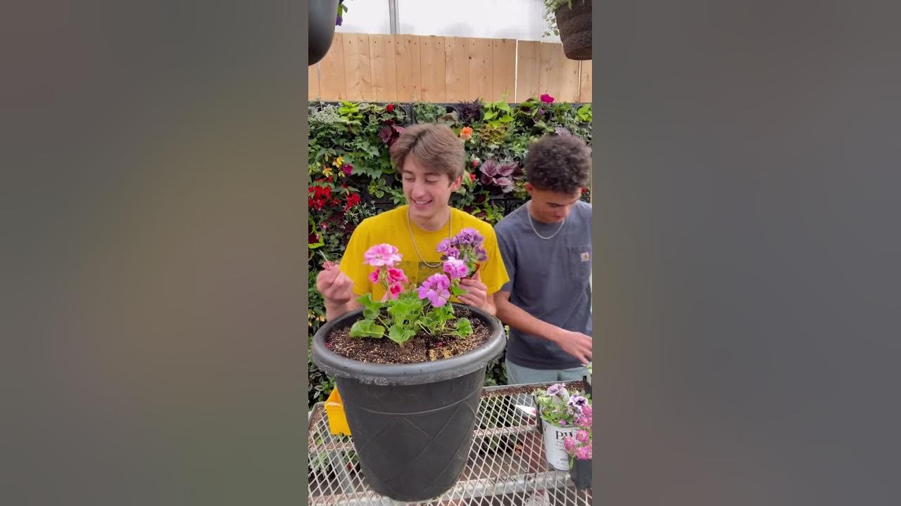 The Plant Guys Episode 1, Beautiful Full Sun Planter YouTube