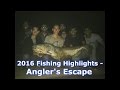 Best fishing highlighs from 2016  anglers escape