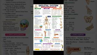 Human Skeleton System in 60 Seconds | SSC CGL 2026 | Biology Shorts
