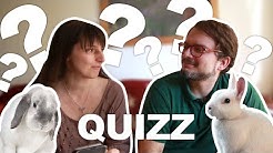 Quizz Lapin - je teste les connaissances de mon copain