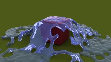 Bifrost Fluid Sim Test