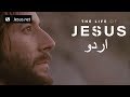 The Life of Jesus • Urdu • 46 of 49