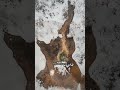 The Frozen Fortress Secret"#viral #history #facts #1000subscriber #10millionviews