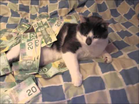 Yvon Krevé — Yvon krevé   Gro$ bill instru du clip clean