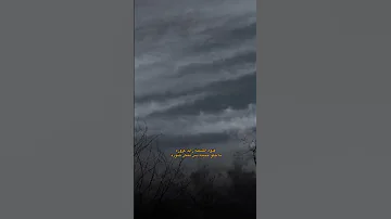 فدوة لمشيته زايد غروره لايك واشتراك حبايبي 
