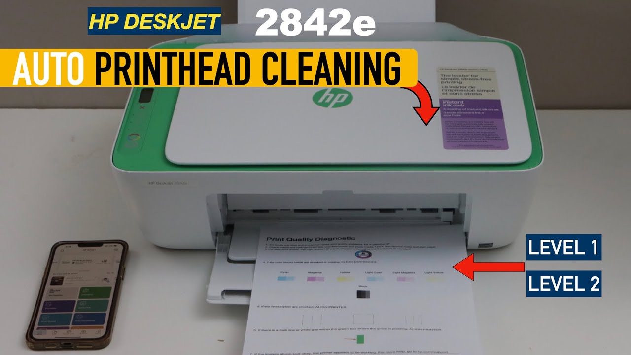 HP DeskJet 2842e Auto Printhead Cleaning !