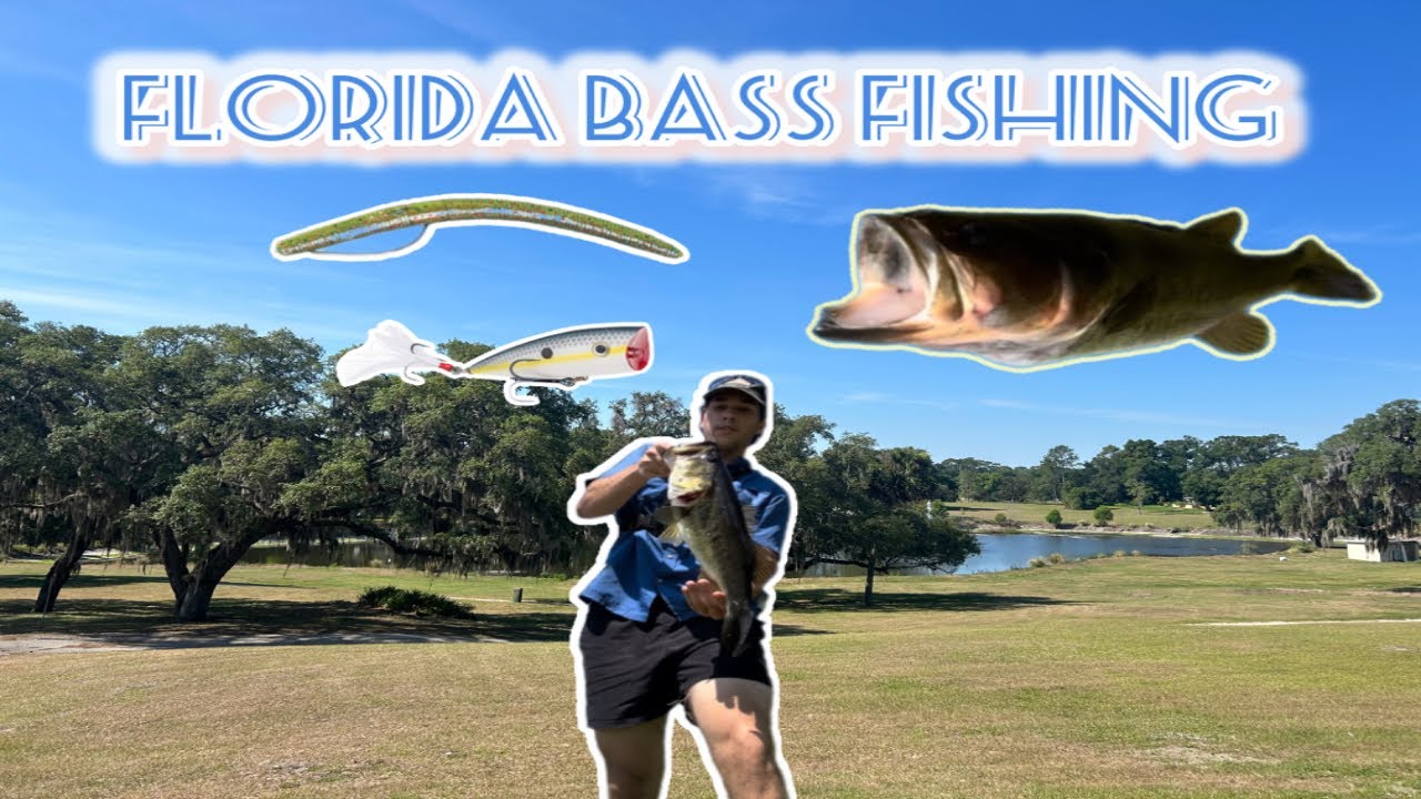 Bass fishing in Florida #fishing #bass #bassfishing