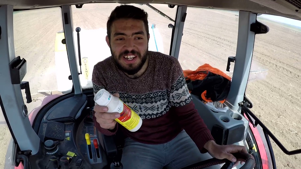 Nohutlarımıza merlin flexx atıyoruz.