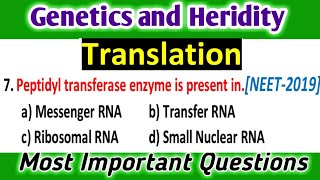 Translation MCQs | Genetics and Heridity | Most Important for NEET 2023