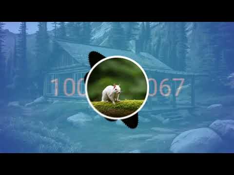 ريمكس في منزل انثى السنجاب