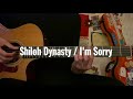 Shiloh Dynasty / I'm Sorry (Guitar tutorial with tab)