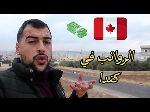 فيديو: بنك 