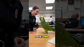 Police Officer Flirts With A Parrot Big Mistake Therealbeako
