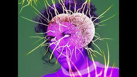 Bobolinks From Beyond