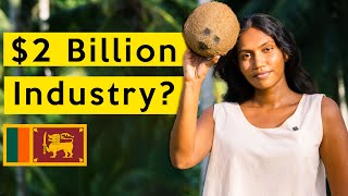 The Journey of a Coconut in Sri Lanka | Inside the worlds oldest coconut factory