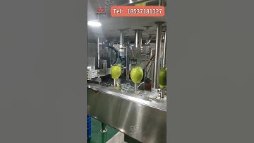 Commercial Peeling and Pitting Machine in Action