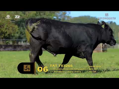 LOTE 06 - TAT TE3265