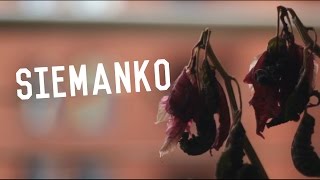 Adobe After Effects - motion tracking [test]