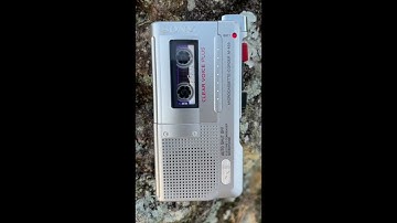 Hal McGee - WHEN I RECORD MY MASTERPIECE - Installment #3: "Can