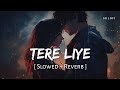 Tere Liye Slowed Reverb Atif Aslam Shreya Ghoshal Prince SR Lofi
