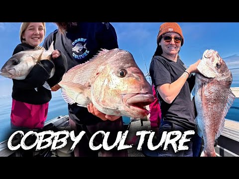 First Pink Snapper Ever #pinky #snapper #catch #fish #fishing - YouTube