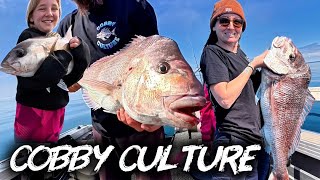 First Pink Snapper Ever  #pinky #snapper #catch #fish #fishing @TheIkipikIkijimeTools 