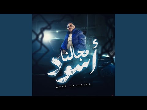 أسود مجالنا