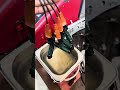 Injectors cleaning+pressuring