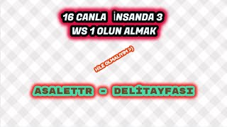 3 ws 1 OYUN ALMAK 16 CAN İLE !  ASALETTR WS DELİTAYFASI  WOLFTEAM TQRETTOO