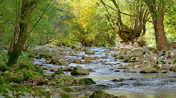 Nature Sounds and Native American Flutes for Sleep, Relaxation, Focus, Reduce Stress, Stop Anxiety