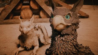 Griffons return to the Grey Wardens | Dragon Age: The Veilguard