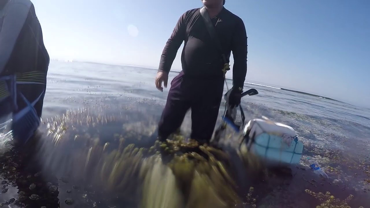 Catching Octopus 01 - YouTube