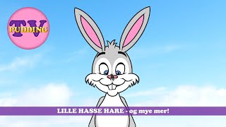 Lille Hasse hare - og mye mer! | Norske barnesanger - 40 min
