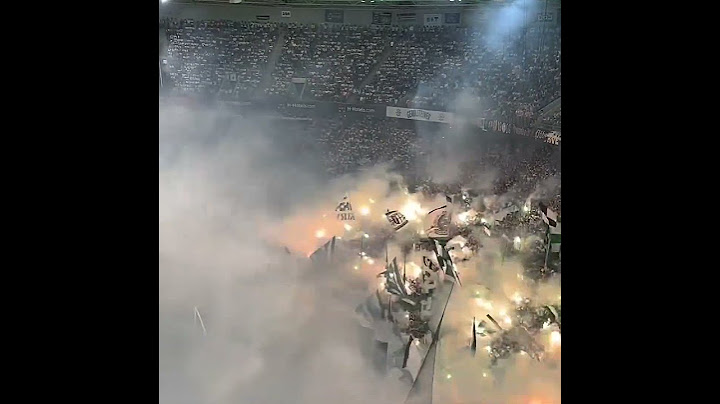 Borussia Monchengladbach - Bayer Leverkusen 23.08.2024 Pyro #hooligansworld #ultras #ultrasworld
