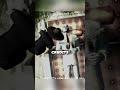 HITMAN Blood Money False Ending shorts HITMAN Blood Money False Ending shorts