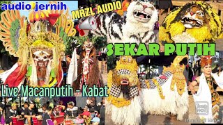 Barong Prejeng, Macan Ontal, Gandrung, Rangda & Barong Bali Sekar Putih Live Macan Putih - Kabat