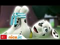 Pati Devriyesi | Kahraman Takım Kurtarmaya Geliyor| Nick Jr.