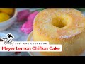 How To Make Meyer Lemon Chiffon Cake (Recipe) マイヤーレモンシフォンケーキの作り方（レシピ）