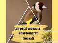 فيديو بسيط هدية للقناة من عند اعز الناس ، لكن قيمته $$$$$$$$$