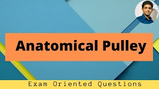 ANATOMICAL PULLEYS SIMPLIFIED| BASIC BIOMECHANICS