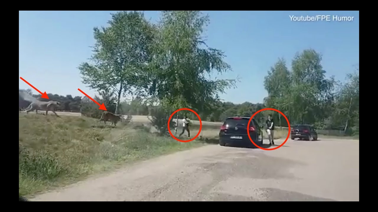 INSANE! french family almost attacked by CHEATERS. She has a kid!