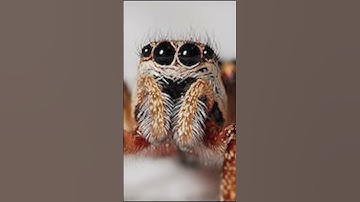 I hate trees. #projectzomboid