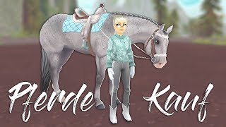 Im Quarter Fieber!  Star Stable Pferdekauf