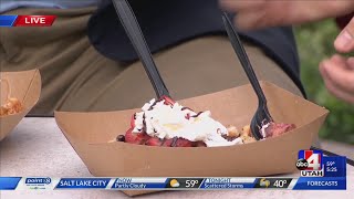 WAFFLED OF STATION PARK IN FARMINGTON