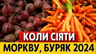 КРАЩІ ДНІ для посіву моркви, буряка, редиса навесні 2024 за місячним календарем