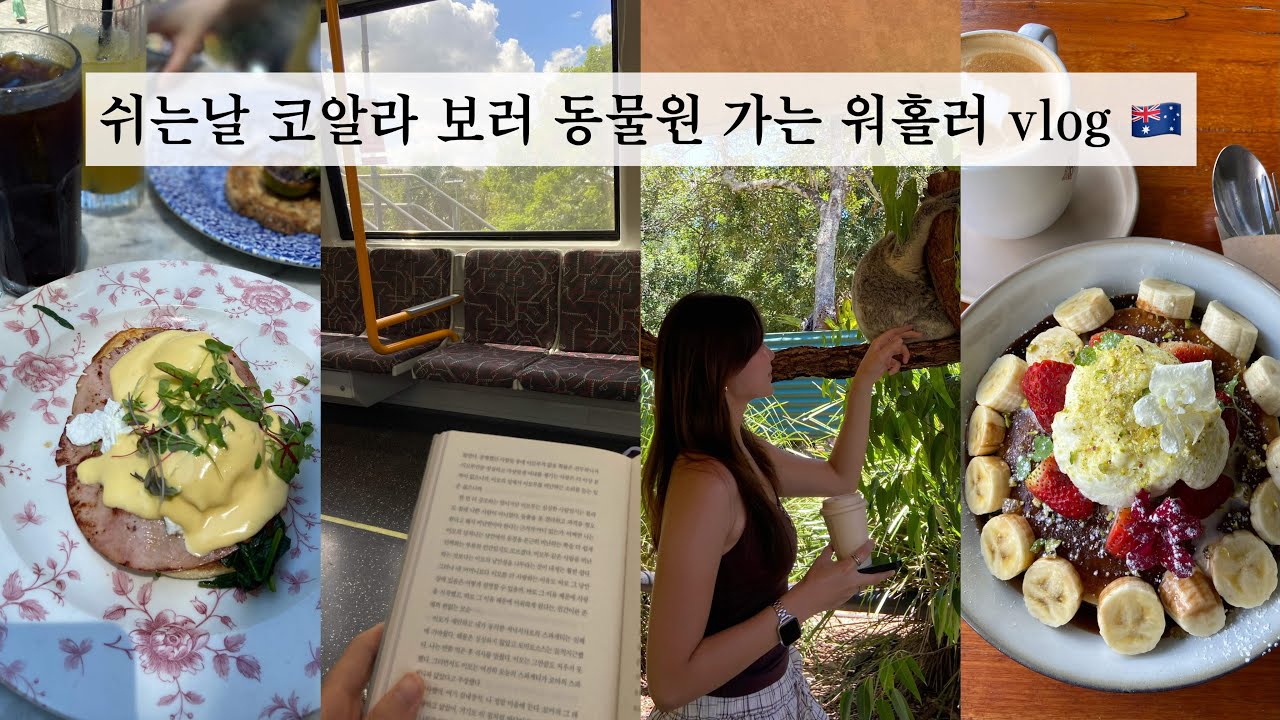 Чем заняться в выходной день в Брисбене, когда совсем нечего делать? 🤔 Участник рабочей поездки о...