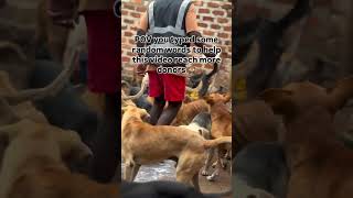 #rescue #animalrescue #helpustohelpthem #rescuedog #rescuedog #rescue #animalrescueteam #animalwel