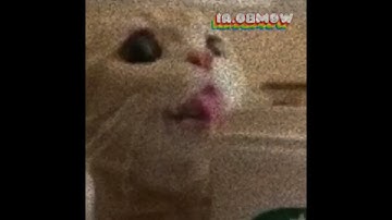 Preview 2 Sin Deepfake Random Effects