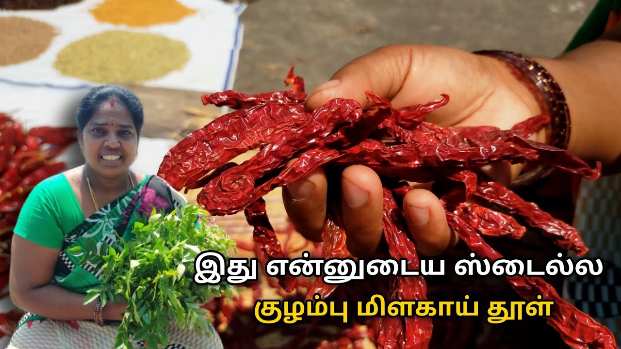 குழம்பு மிளகாய் தூள் | how to make kuzhambu milagai thool | ts family #chillypowder #food #recipe