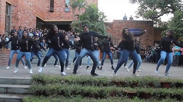 Flash Mob 2019 | Hypnotics | IMT Nagpur